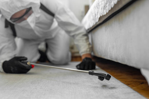 Professional Bed Bug Control technician working in Dunwoody, GA
