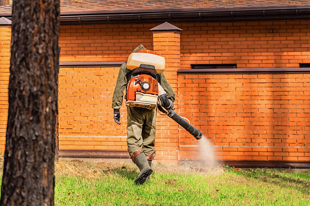 Trusted Cockroach Control service in Dunwoody, GA - Nex Pest Control